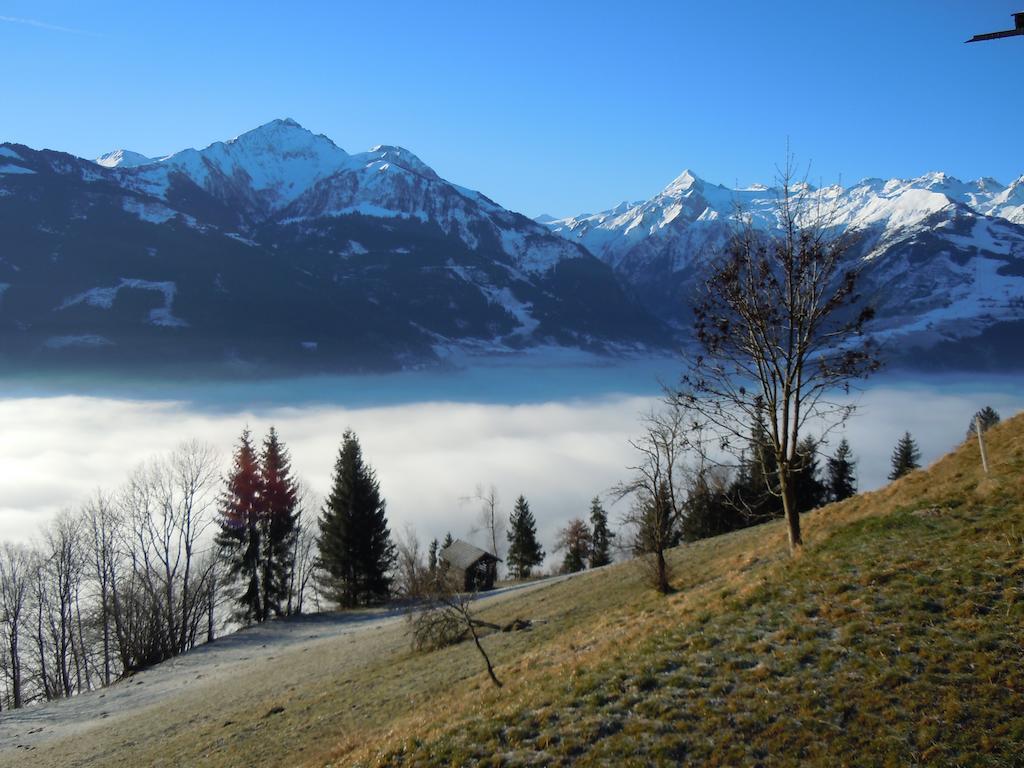 Areithof Apartment Zell am See Exterior photo