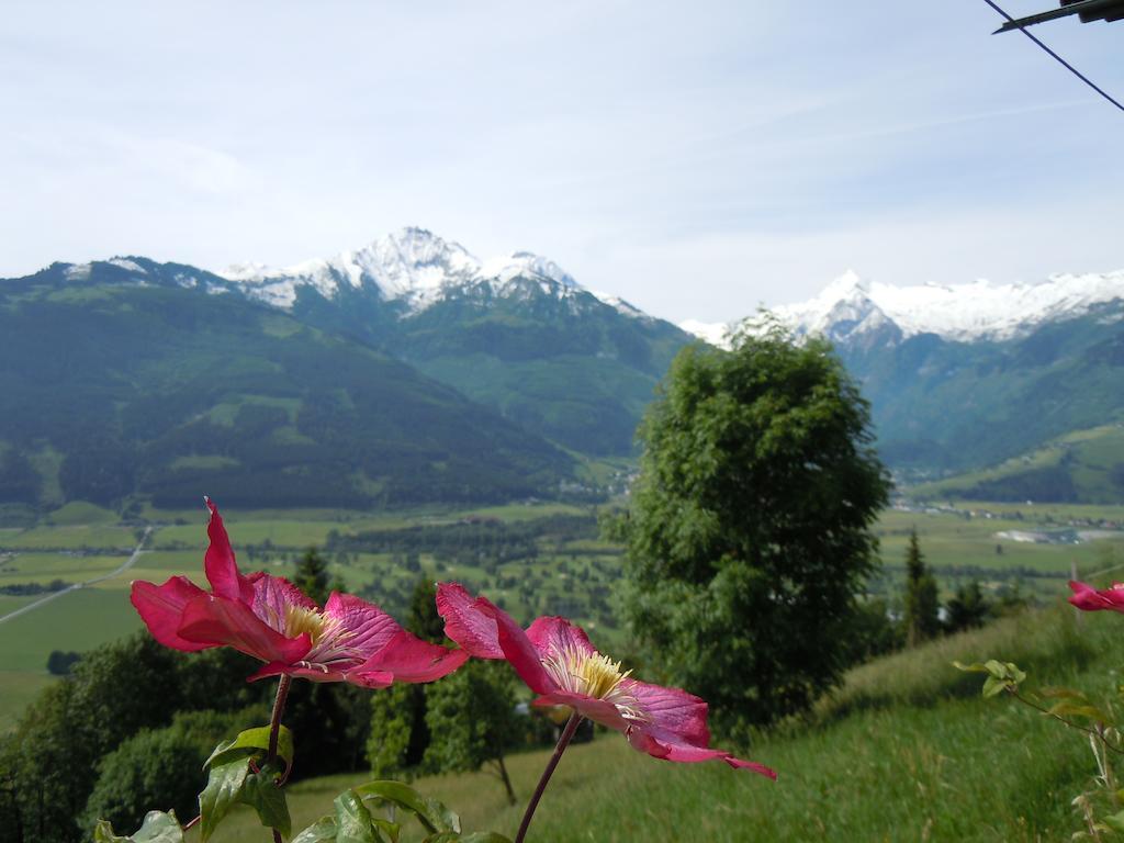 Areithof Apartment Zell am See Room photo