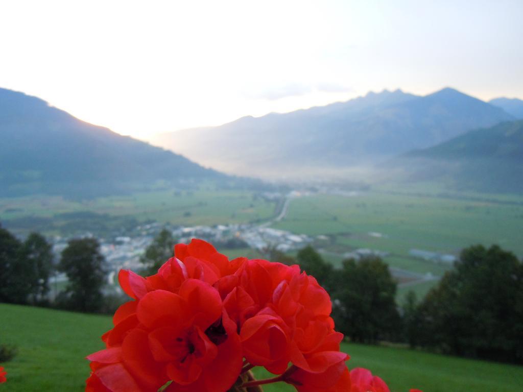 Areithof Apartment Zell am See Room photo